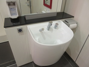 Photo of ostomate-compatible waste sink and shower