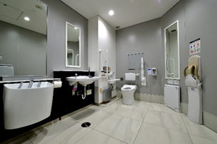 Photo of wheelchair-accessible toilet