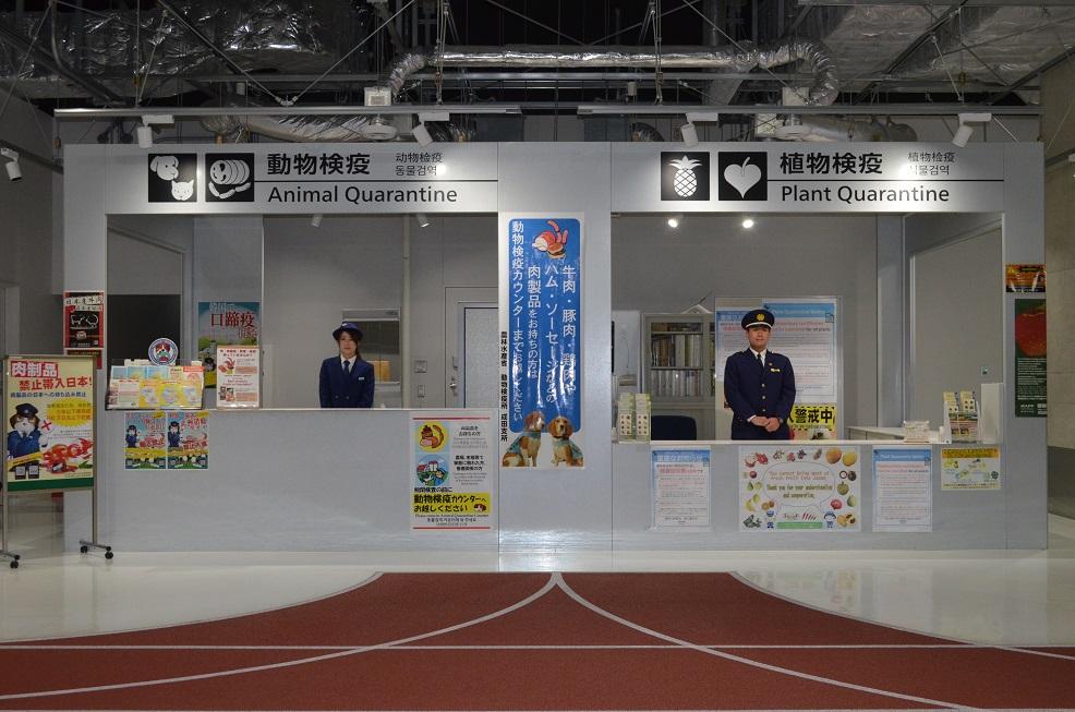 Plant and animal quarantine counter image photo at Terminal 3