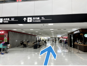 Photo with corridor and arrow leading to domestic flights