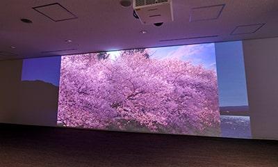 Photo of digital signage at the second floor central south side of the second terminal main building