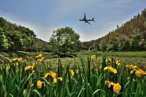 Photo of Shibayama Wetlands Park