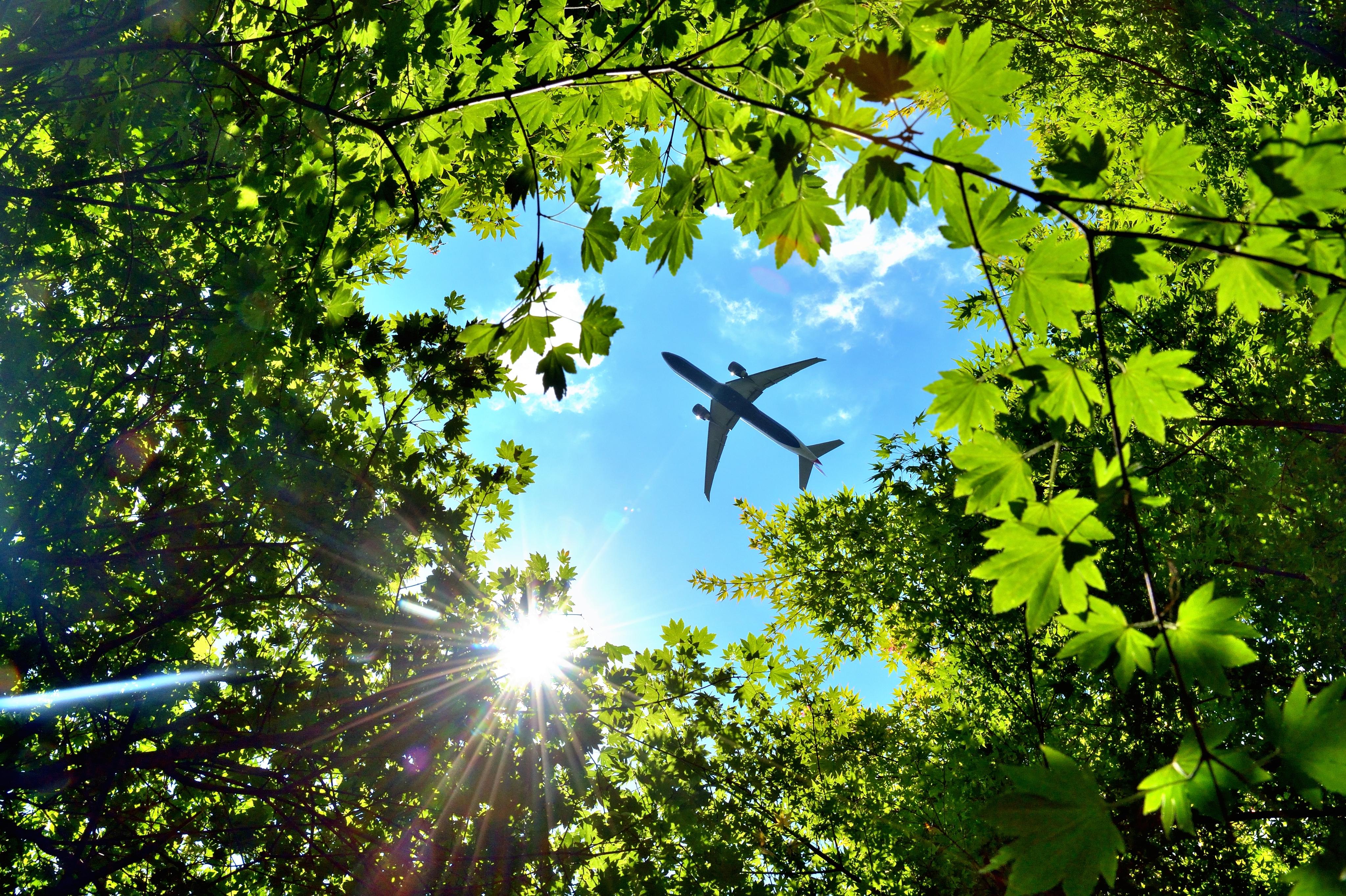 561.Narita DPTQ EDP＆EDT 空瓶＆空箱 計40本 omQshFPwCCx67epBT9y68C