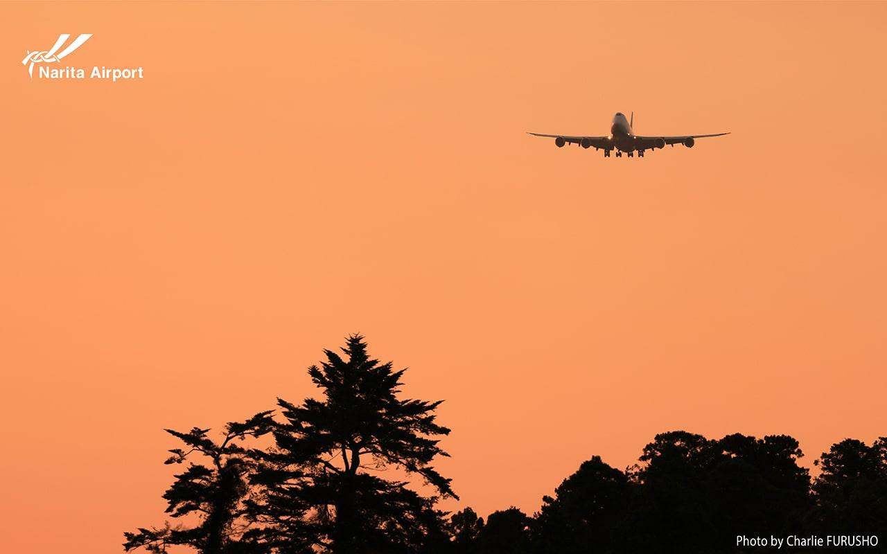 成田空港 一番機 写真 （成田空港駅と第1ターミナル間の移動