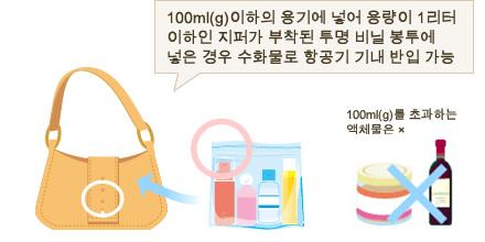 100ml(g) 이하의 용기에 넣어 용량이 1리터 이하인 지퍼가 부착된 투명 비닐 봉투에 넣은 경우는 직접 항공기 내로 반입 가능